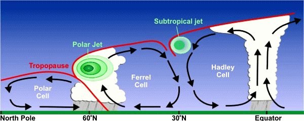http://upload.wikimedia.org/wikipedia/commons/3/3e/Jetcrosssection.jpg